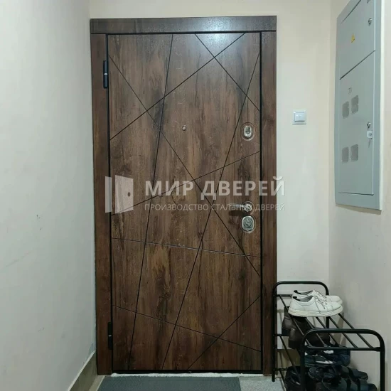 Фото двери № 511