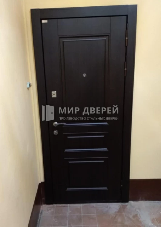 Фото двери № 424