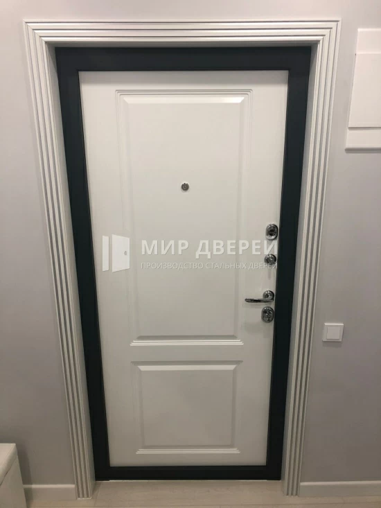 Фото двери № 438